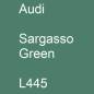 Preview: Audi, Sargasso Green, L445.